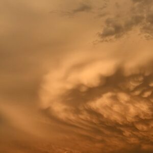 Desert Light No. 1